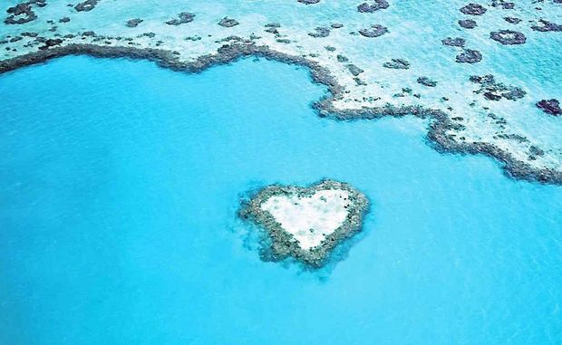 heart reef