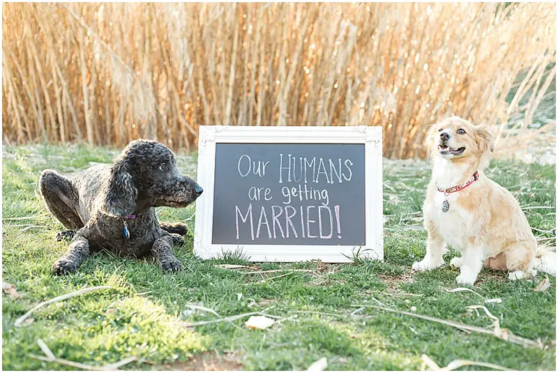 cool-engagement-photo-ideas