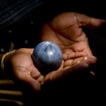 Check out the Newly Discovered Biggest Sapphire in the World