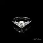 Taylor Nolan’s 2 Carat Round Cut Diamond Ring