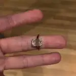 Whitney Cummings’ Emerald Cut Diamond Ring