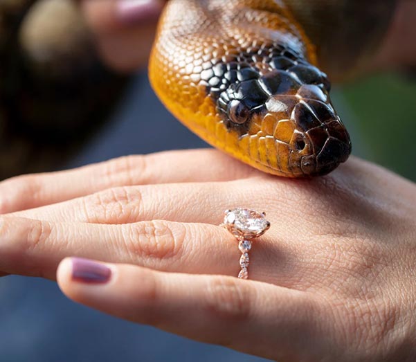 Bindi Irwin's engagement ring